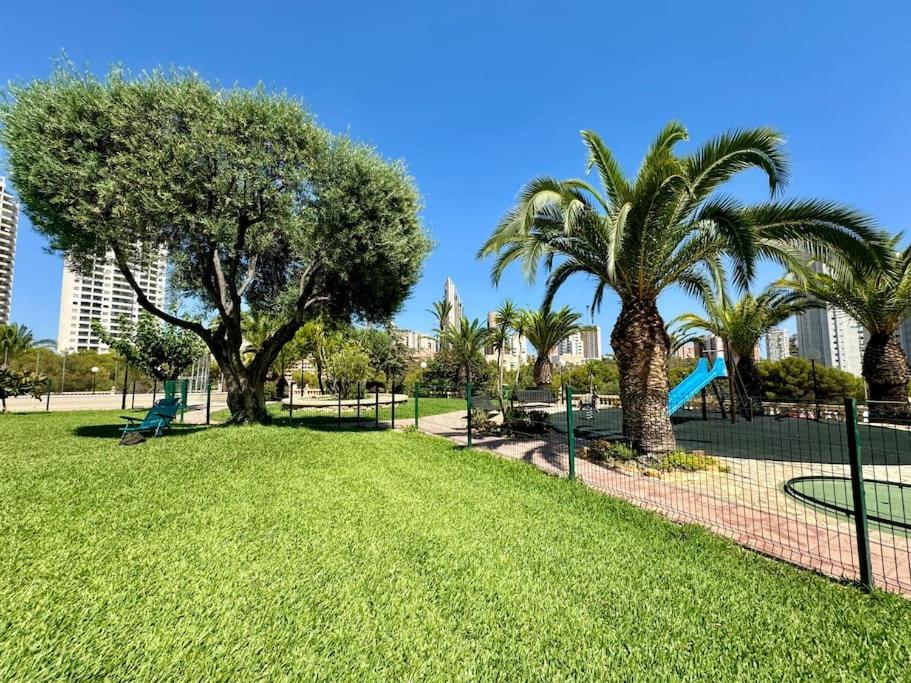 Olivos * Benidorm